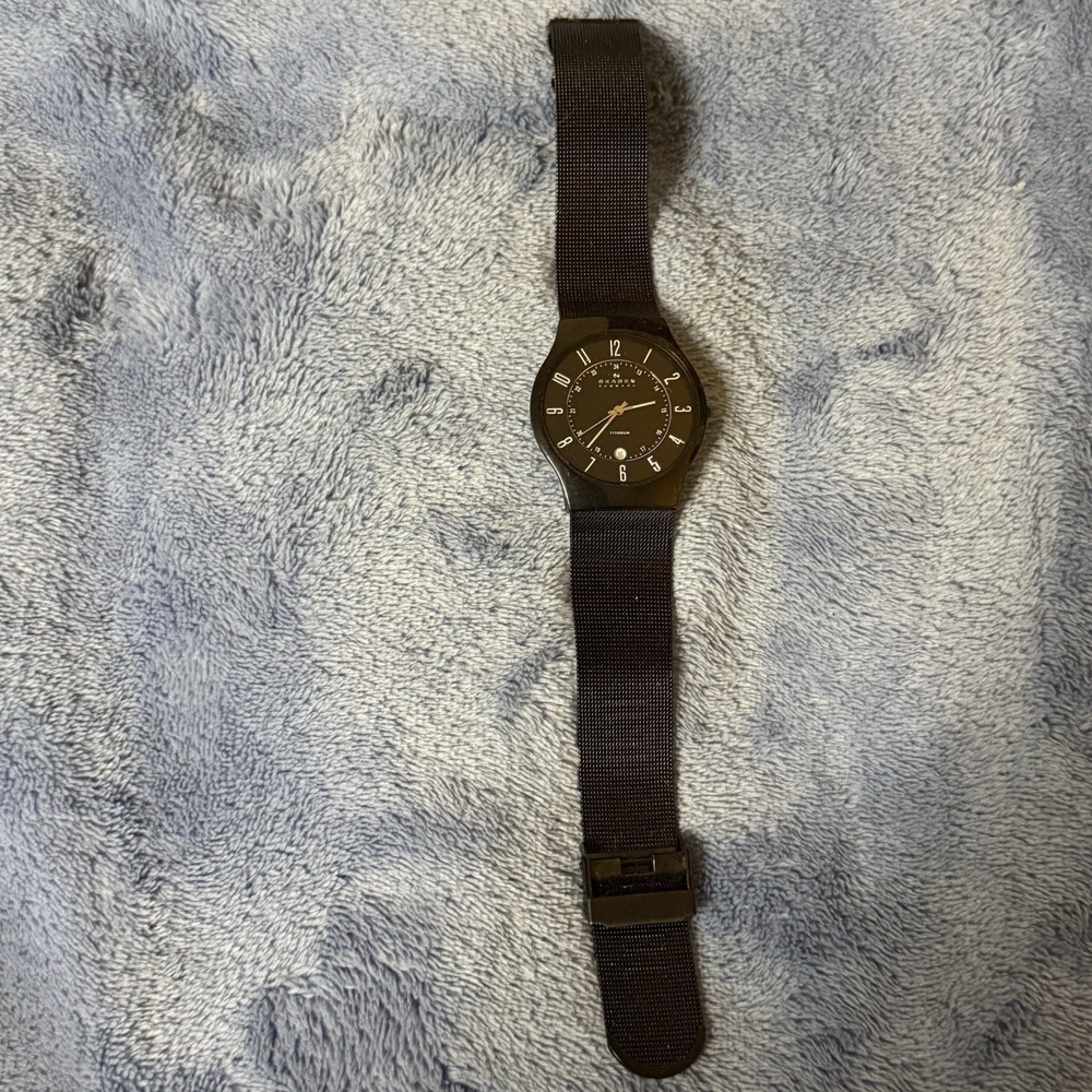 skagen mens watch titanium